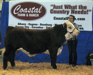 2011 Reserve Champion Bull Oregon Junior Livestock Expo KPH Triton Guy 5X