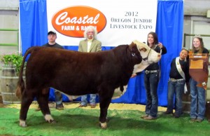 2012 Reserve Grand Champion Bull Oregon Junior Livestock Expo KPH Cody 26Y
