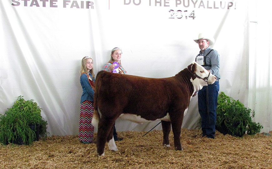 Show Success 2014 Calf Champ WSF crop