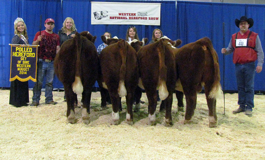 Show Success 2014 Get of Sire crop