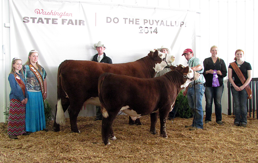 Show Success 2014 Horned WSF crop